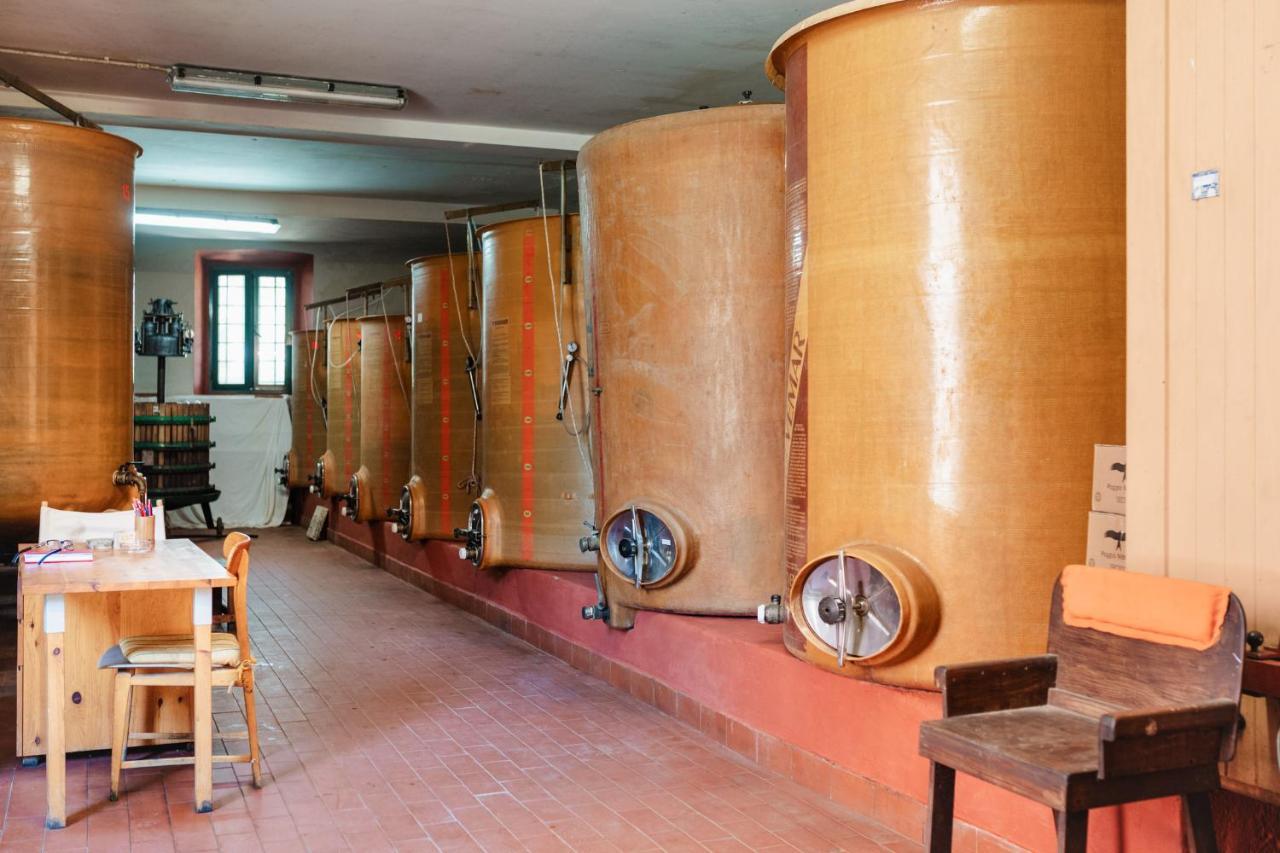 Agriturismo Ristorante 몬테 아르젠타리오 외부 사진