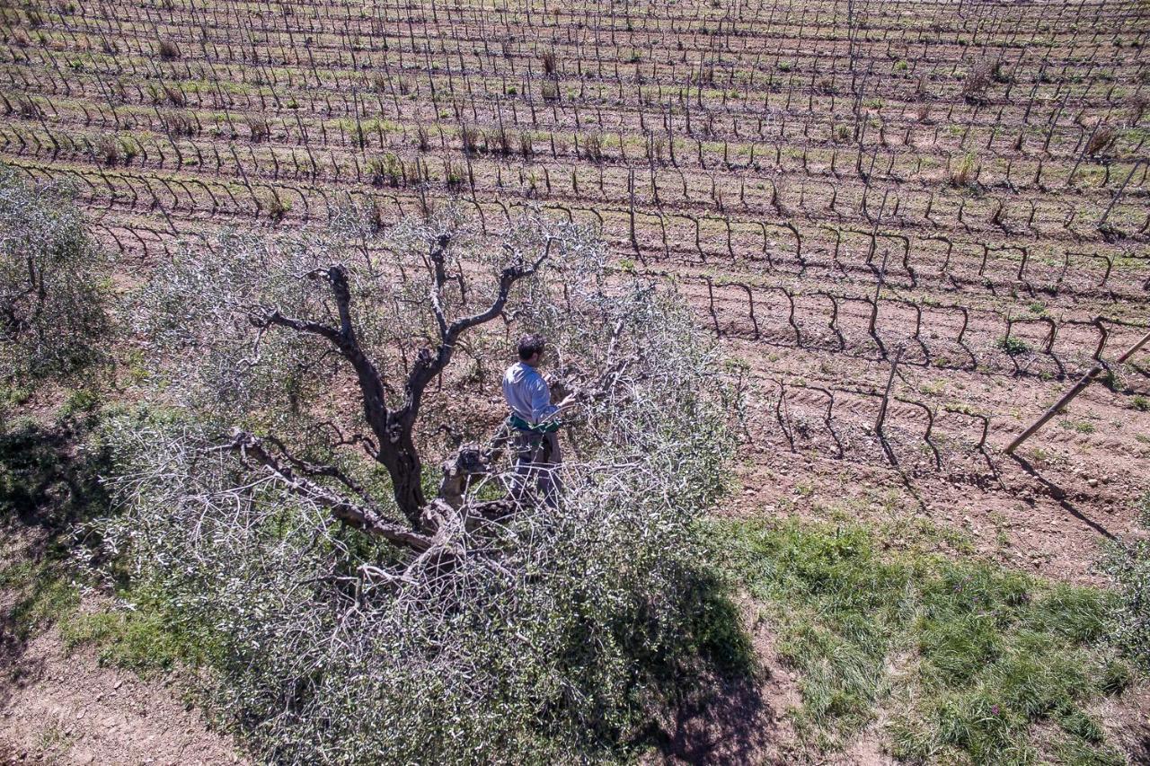 Agriturismo Ristorante 몬테 아르젠타리오 외부 사진