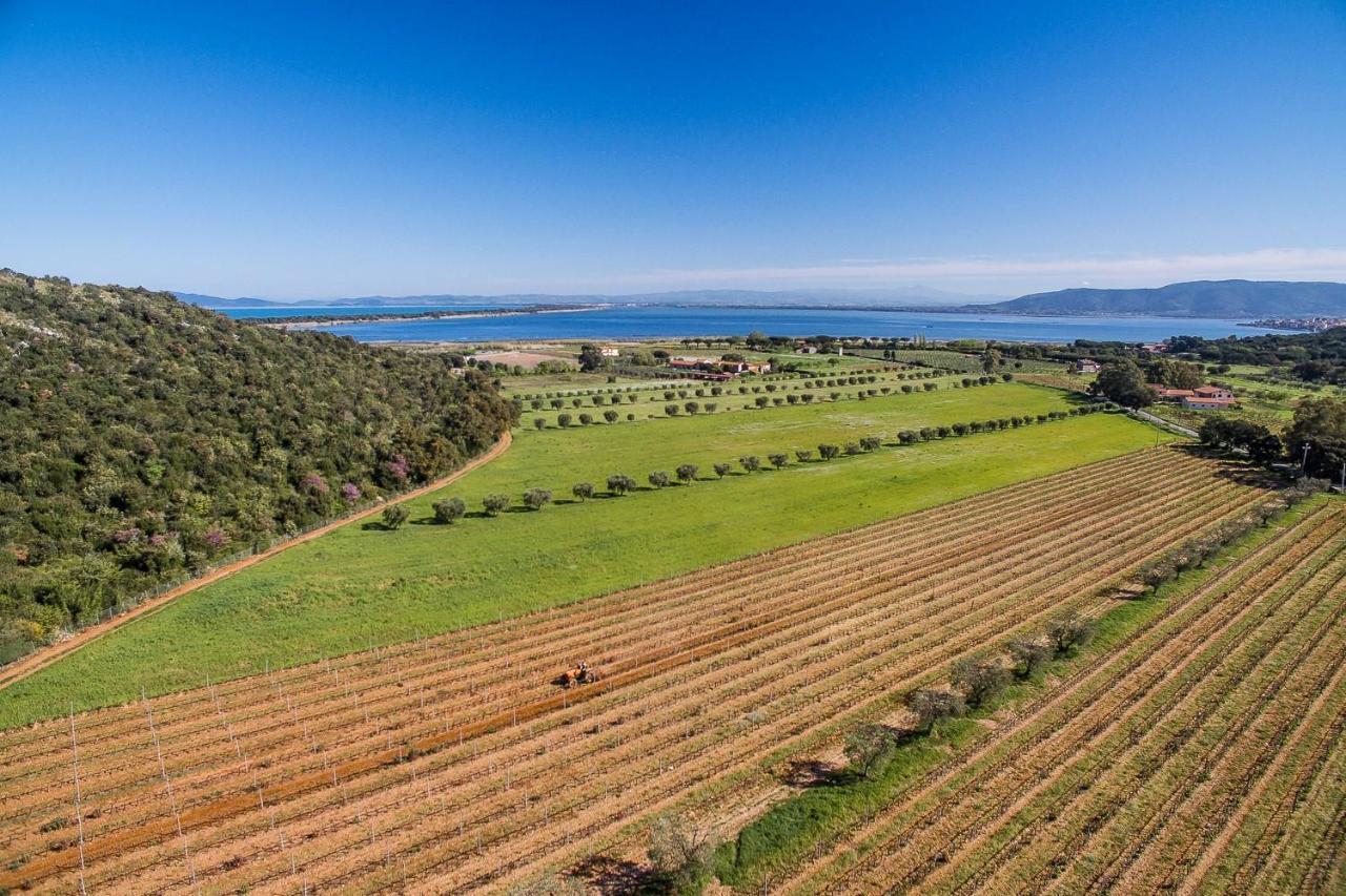 Agriturismo Ristorante 몬테 아르젠타리오 외부 사진